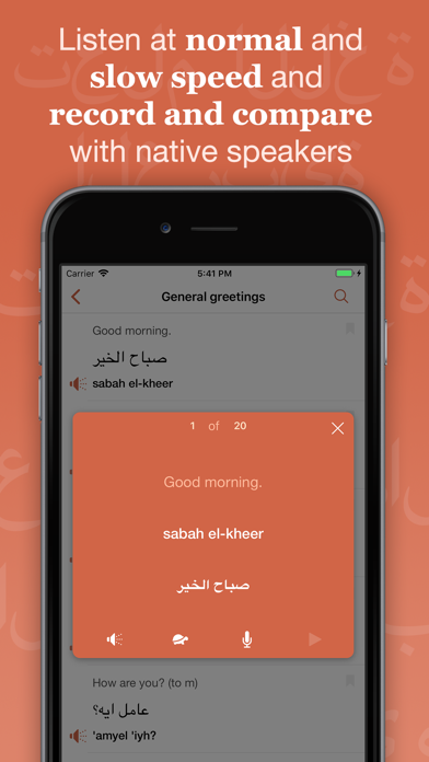 Easy Egyptian Arabic screenshot 4