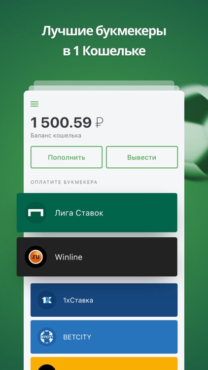 Кошелек ЦУПИС – 9 БК в 1 месте