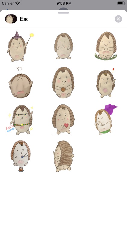 Cute Hedgehog Kawaii Stickers!