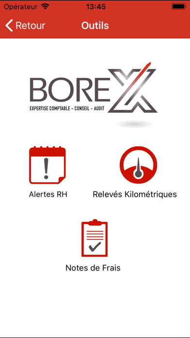 BOREX screenshot 2