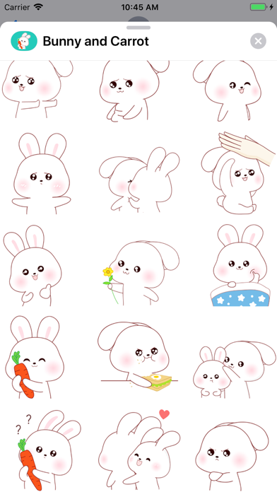 Bunny and Carrot screenshot 2