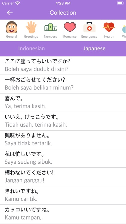 Indonesian-Japanese Dictionary