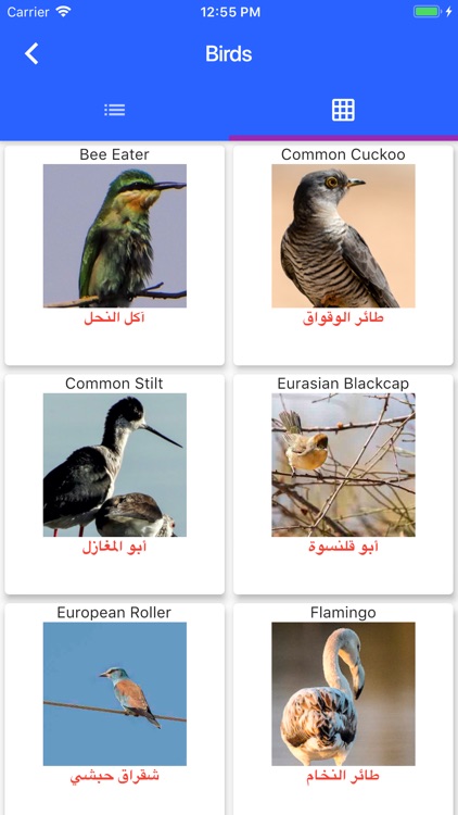 Birds of Jordan screenshot-7