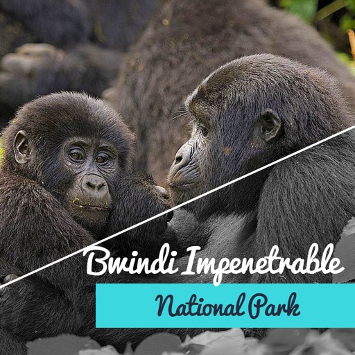 Bwindi Impenetrable icon