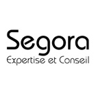 Top 28 Business Apps Like Segora Expertise et Conseil - Best Alternatives
