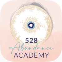 Abundance Academy sur PC