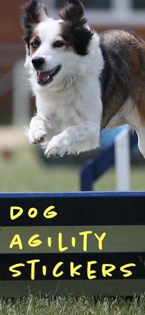 Dog Agility Stickers