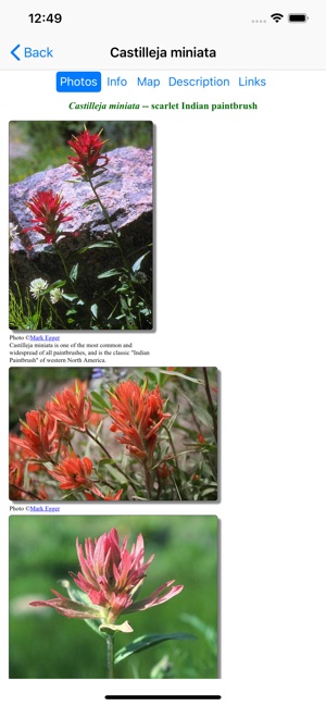 North California Wildflowers(圖3)-速報App