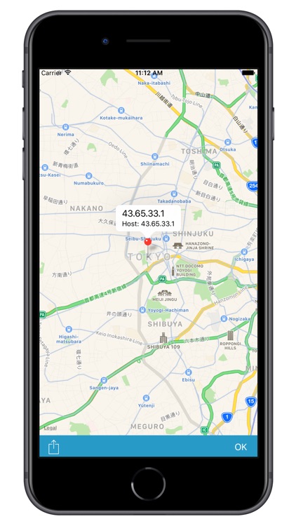 IP Finder: Search by IP