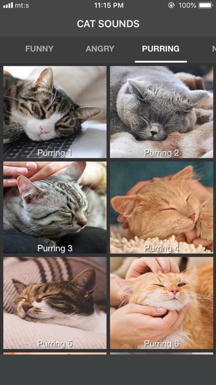 Cat Sounds - Meow Soundboard screenshot-6