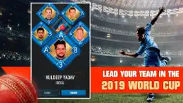 Game screenshot Real Cricket World Cup 2019 hack