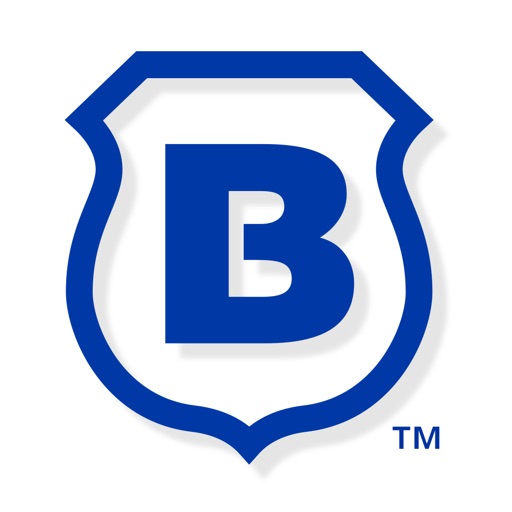 brinks home security careers coppell tx