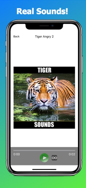 Tiger Sounds - Tiger Growls(圖3)-速報App