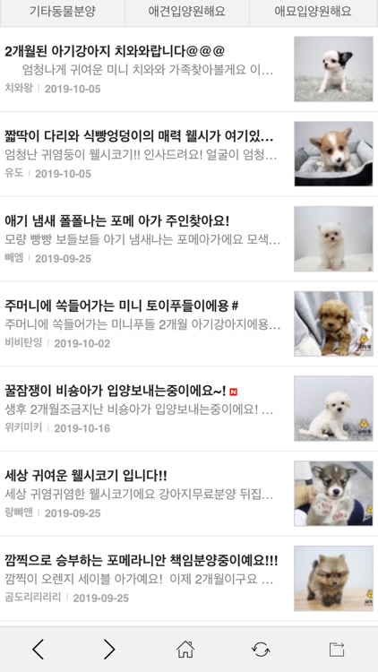 묘하개 - 강아지 고양이 커뮤니티