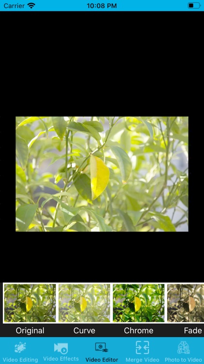 金鼎股票-股票配资高倍杠杆领导者 screenshot-3