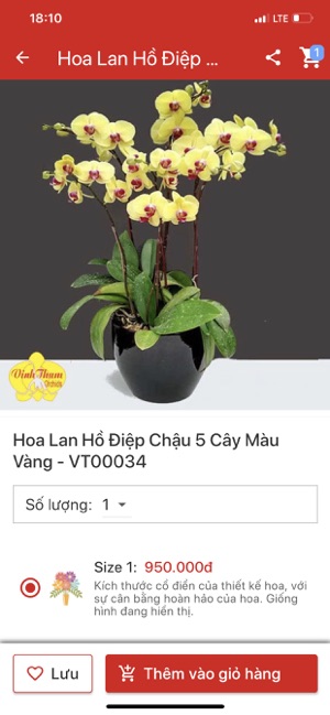 Vinh Thắm Orchids(圖2)-速報App