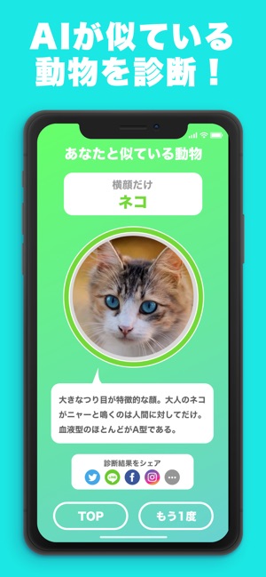似てる顔の動物を診断するアプリ どうぶつカメラ On The App Store