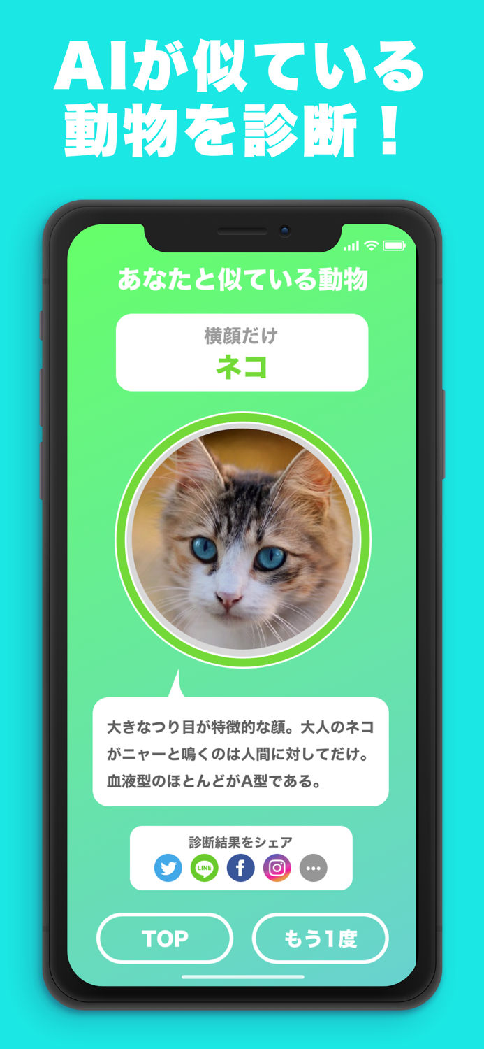 似てる顔の動物を診断するアプリ『どうぶつカメラ』