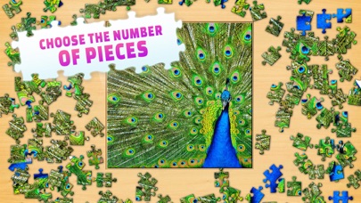 Jigsaw Puzzle Screenshot 4