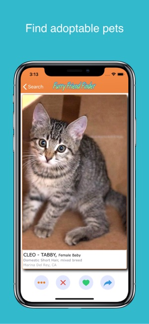 Furry Friend Finder Pet Rescue(圖1)-速報App