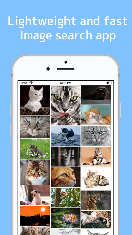 Ultra image Search Machine
