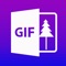 What is GIF