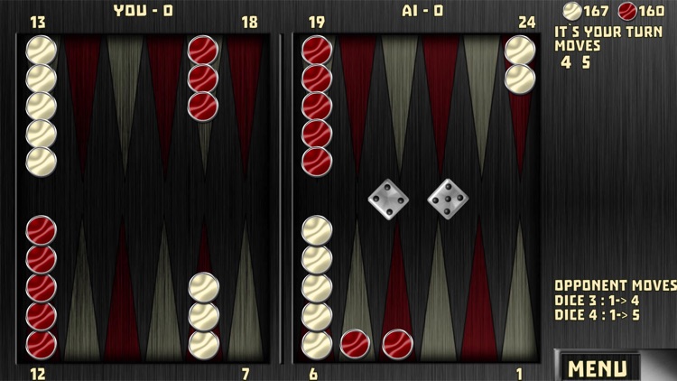 Backgammon 16 Games screenshot-4