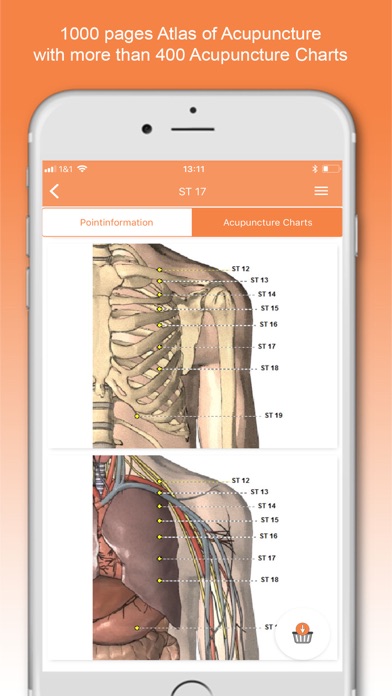 Shen-Acupuncture screenshot 2