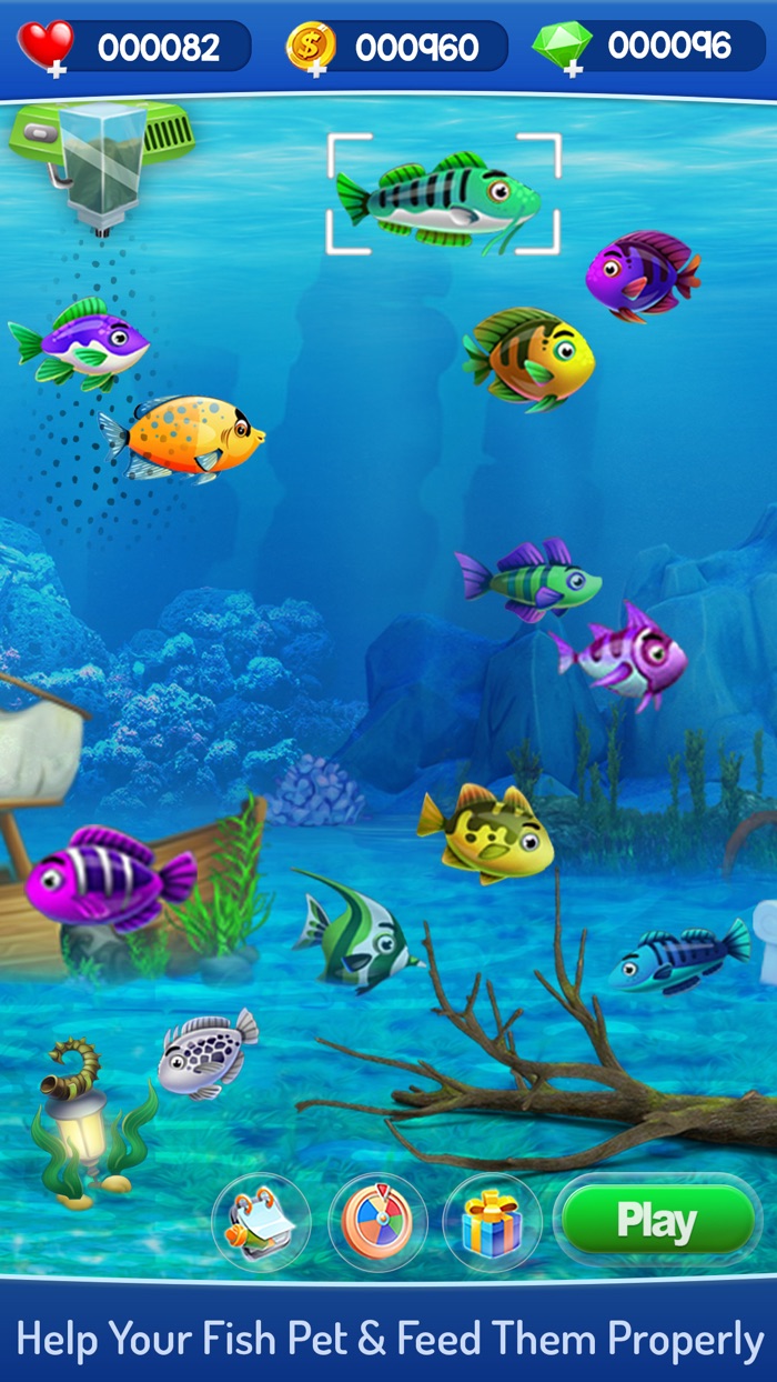Fish Aquarium Bubble World