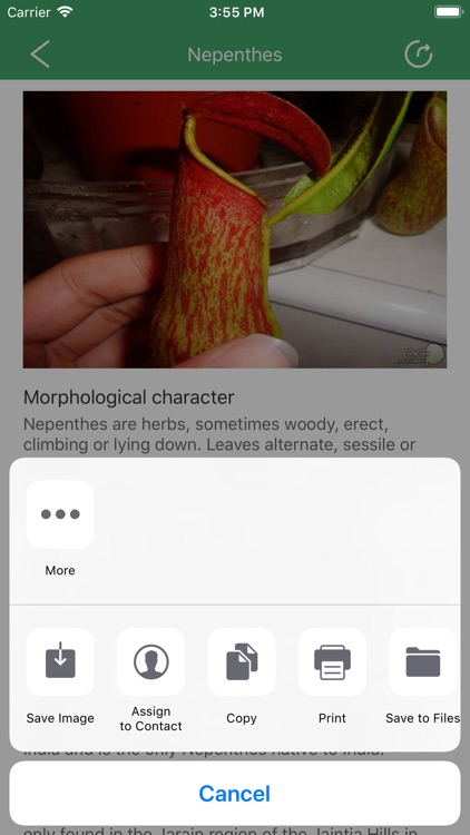 PlantSmallKnowledge screenshot-4
