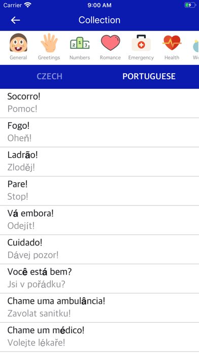 Czech Portuguese Dictionary screenshot 2