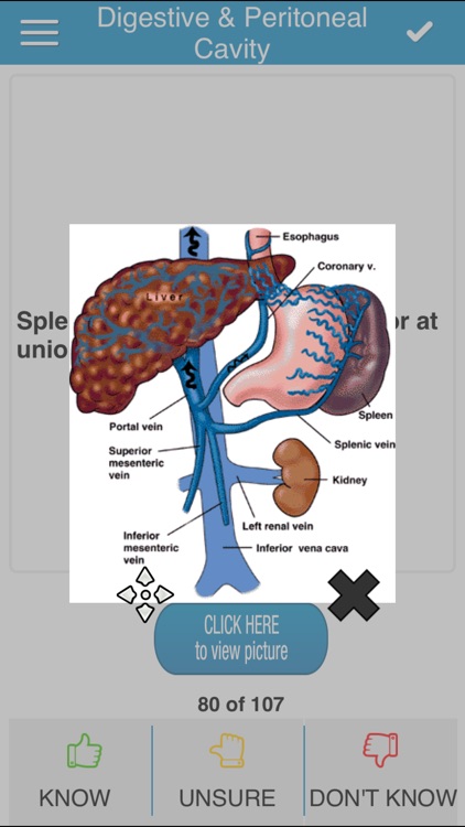 COMLEX Anatomy Cram Cards