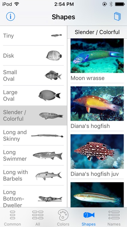 Oman Fish ID screenshot-7