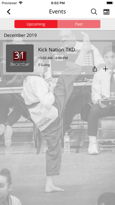 Kick Nation Taekwondo screenshot 4