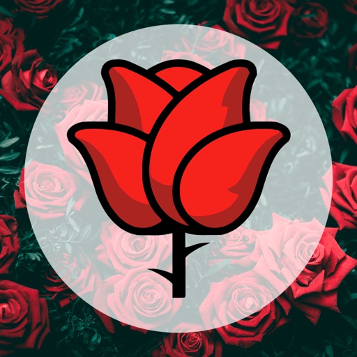 Flower06 | Атырау icon