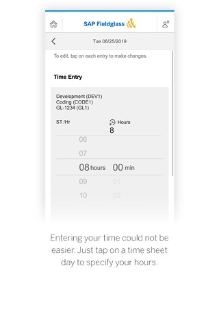 SAP Fieldglass Time Entry - náhled