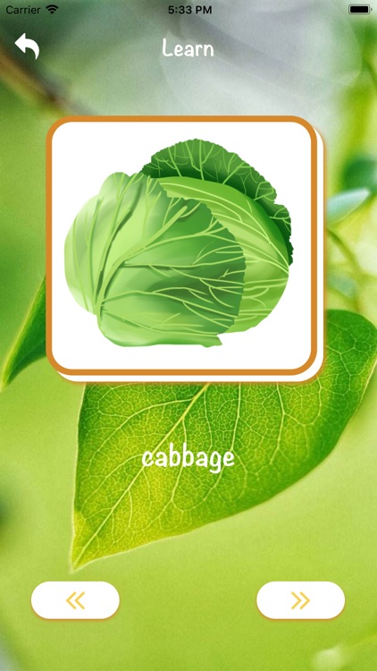 VPL--VegetablesPictureLearning