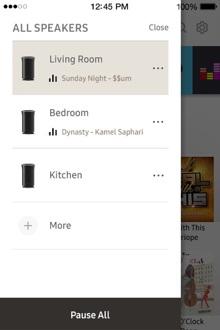Wireless Audio : Multiroom screenshot 4