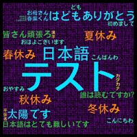Japanese Test for beginners sur PC