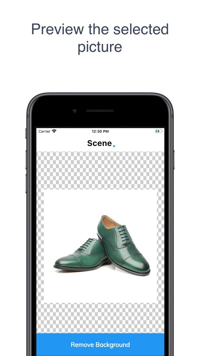 Scene Background Removal