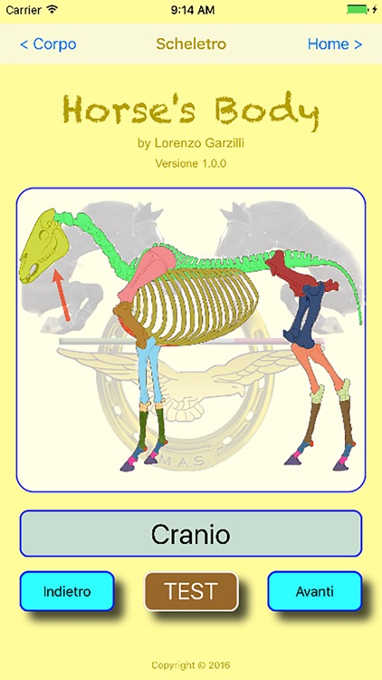 HorseBody screenshot-3