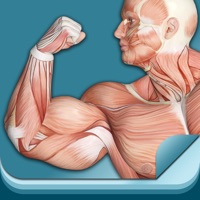 筋肉暗記 pour PC