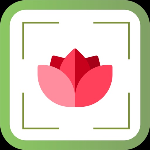 PlantDetect - Plant Identifier