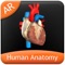 Human Anatomy Explorer app is a quick reference app that contains information about the ten different biological systems present in the human body in a visual and engaging manner