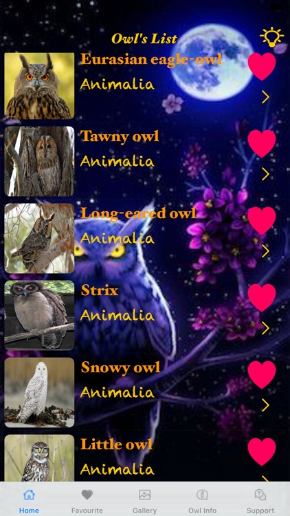 All About Owl's