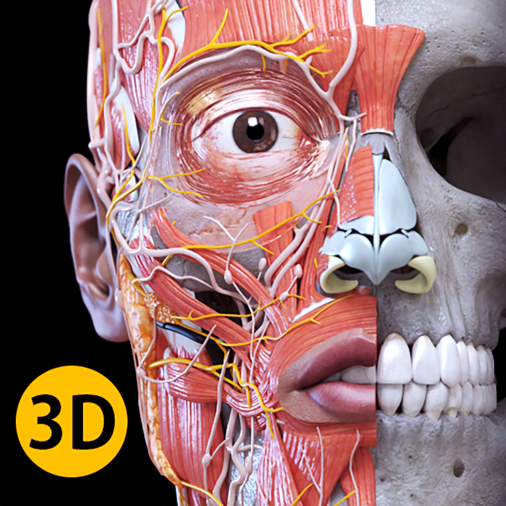 About Anatomy 3D Atlas (iOS App Store version) Anatomy