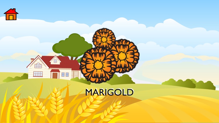 Learn - Fruits & Flowers screenshot-5