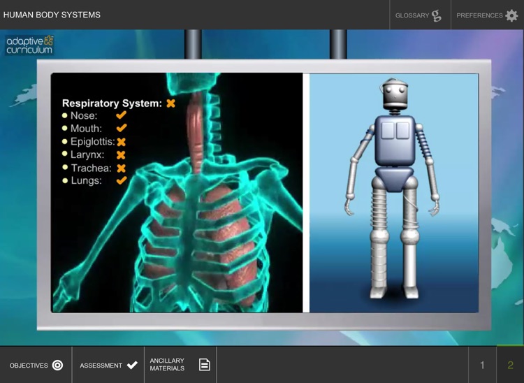 Systems in the Human Body