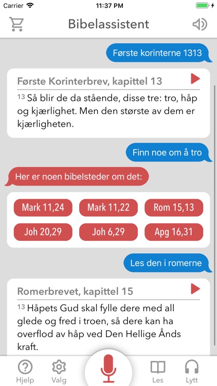 Bibbot - Din Bibelassistent