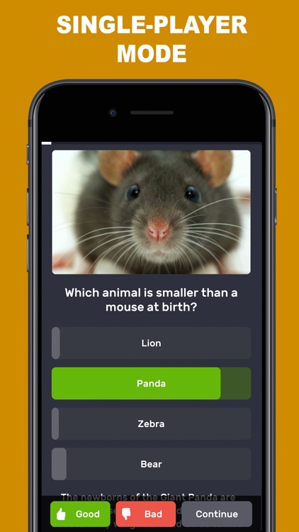 Quiz & Trivia Game - QuizzLand